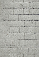 Light gray concrete pavement with patterns reminiscent of old stone with brickwork. Covering the pavement (floor) with a cement decorative screed.