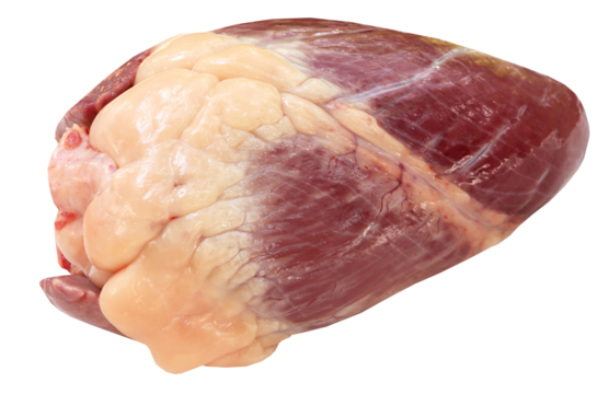 Beef heart