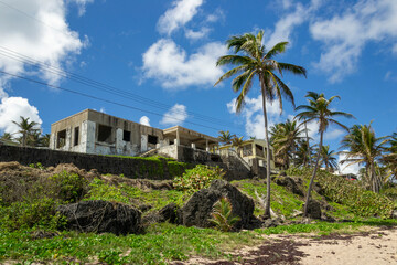 Bathsheba beach Barbados, Atlantic Ocean sea, big white breakers, turquoise sea, white sand and palm trees