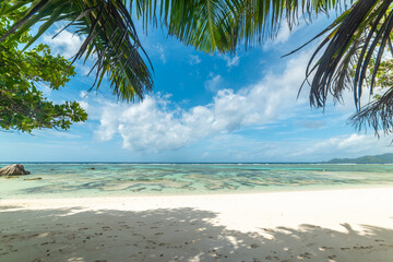 Fototapeta na wymiar Coral reef in Anse Source d'Argent beach seen through palm trees.