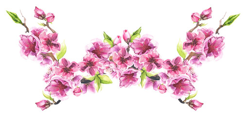 Fototapeta na wymiar Pink cherry blossoms and leaves bouquet. Watercolor painted floral arrangement. Cut out hand drawn PNG illustration on transparent background. Isolated clipart.