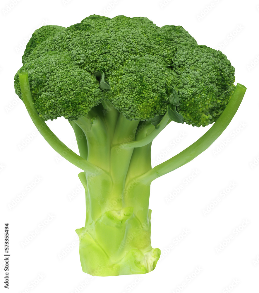 Canvas Prints fresh broccoli