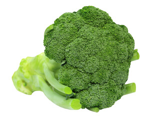 Fresh Broccoli