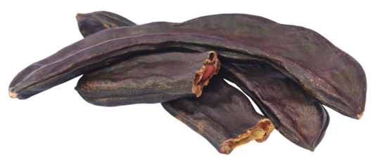 Edible carob fruits