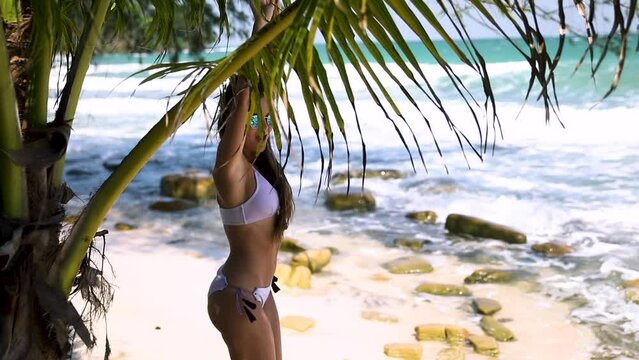 Woman is wearing bikini posing under palm leaf tree on the beach