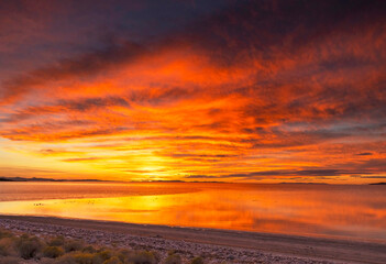 Fototapeta na wymiar The Great Salt Lake Sunset