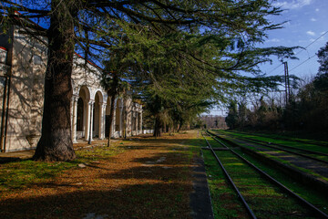Old abandoned overgrown railway station