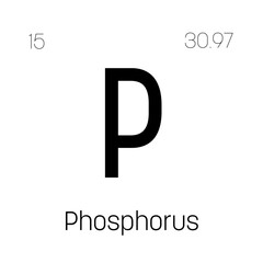 Phosphorus, P, periodic table element with name, symbol, atomic number and weight. Non-metal with various industrial uses, such as in fertilizer, detergents, and as a component of certain types of