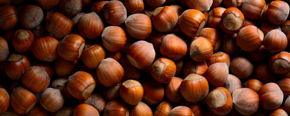 delicious hazelnuts.beautiful hazelnuts closeup for banner background.food products diet concept