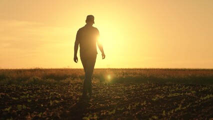 Farmer works in rubber boots, field with young green sprouts. Businessman grows food. Worker walks in rubber boots at sunset. Agricultural business. Grow grain, vegetables. Field, young green shoots - Powered by Adobe