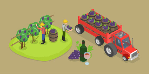 3D Isometric Flat Vector Conceptual Illustration of Grape Farm, Harvesting of Wine Grapes