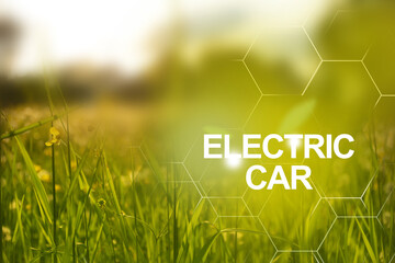 Clean plants on field and bright sunlight to the good ecological future by EV electrical energy....