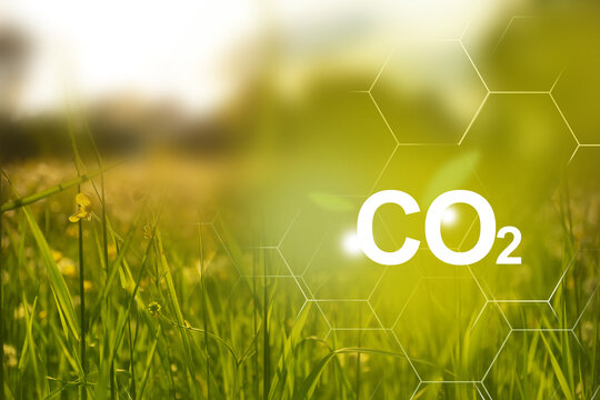 Clean plants on field and bright sunlight to the good ecological future. Problems and solutions of CO2 emission.