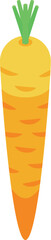 Fresh carrot icon isometric vector. Juice food. Orange fruit