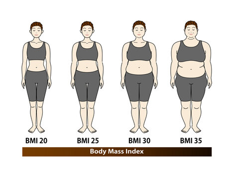 中高年女性のBMI指数による体型の変化 ボディマスインデックス イラスト ベクター
Body shape changes in middle-aged woman according to BMI index. Illustration. Vector.