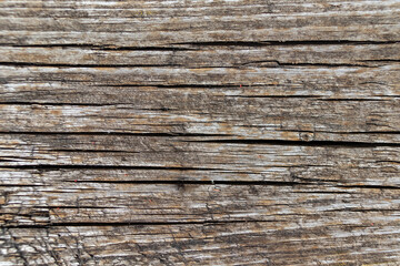 texture of an old grayed wood with large cracks