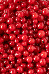 red currant berries close up top view