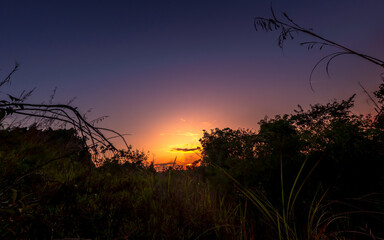 Sunset or sunrise with silhouette of grass and bush