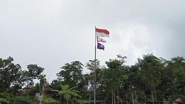 Indonesian and boyscout flag with gey sky background
