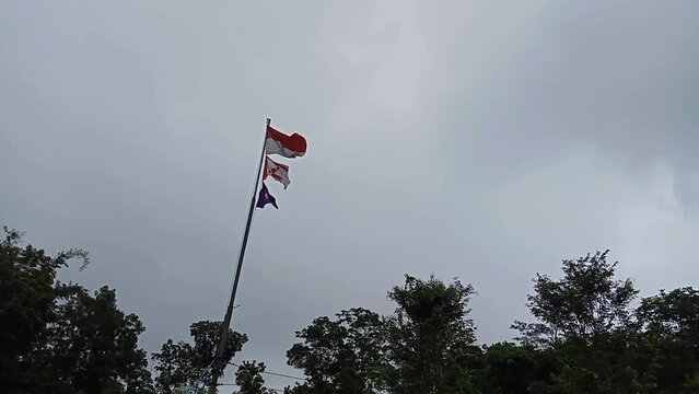 Indonesian and boyscout flag with gey sky background