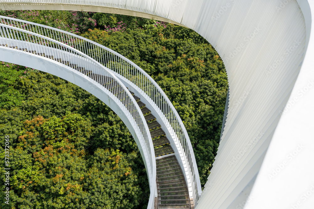 Wall mural white bridge over forest in the park