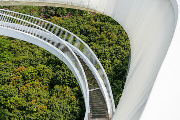 white bridge over forest in the park