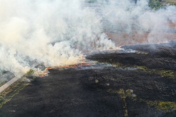 line of fire at peatland jungle