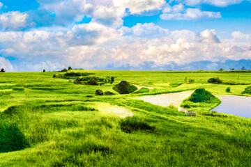 Fototapeta na wymiar The green grassland in spring, under the blue sky and white clouds. Transform salt flats into grasslands with computer vision transformations.