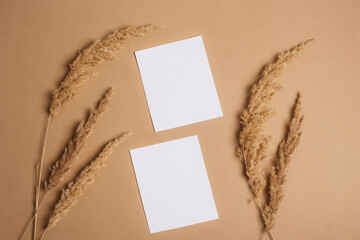 Blank paper sheet cards and pampas grass on beige background. Top view, flat lay, mockup