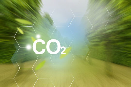 Problems and solutions of CO2 emission. Motion to clean future &mdash; wind of positive changes in park.