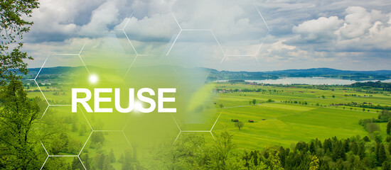 Clean plants on field and bright sunlight to the good ecological future by reusing products. The concept of circular economy and reuse for future growth of business and clean environment.