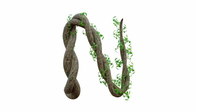 Tree grow or vine in the shape of the English text. Letter font N. Alpha Channel, cg animation, 3D Render.