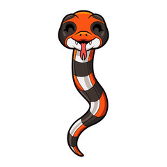 Cute cape coral snake cartoon