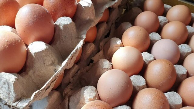 Fresh chicken eggs from farm, egg stock in carton