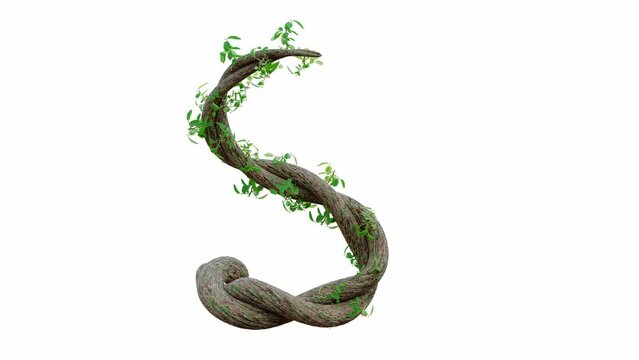 Tree grow or vine in the shape of the English text. Letter font S. Alpha Channel, cg animation, 3D Render.