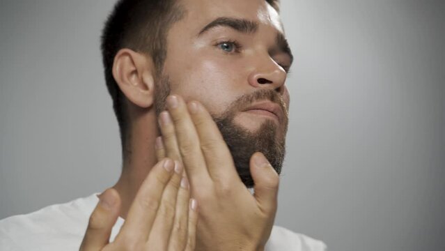 Attractive man grooming his beard against gray background