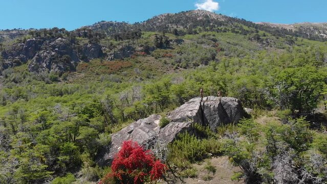 AERIAL - Arrayanes National Park, Villa La Angostura, Neuquen, Argentina, truck left slowmo