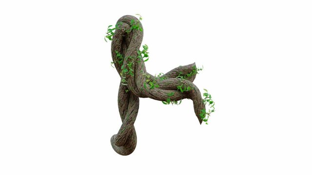 Tree grow or vine in the shape of the English text. Letter font H. Alpha Channel, cg animation, 3D Render.