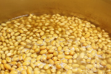 家庭で味噌作り