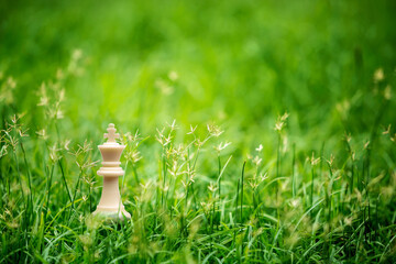 White king chess in nature background, Leader with sustainable development goal for better green world idea concept