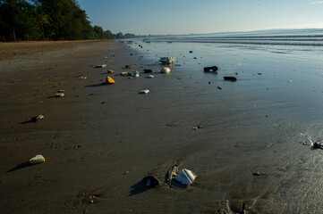 Fototapeta na wymiar Tidal waste on the beach