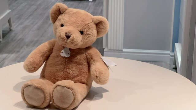 Teddy bear is sitting in the toy store window