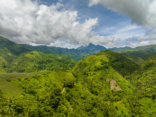 Tropical green forest in the mountains and jungle hills in the highlands of Philippines. Negros.
