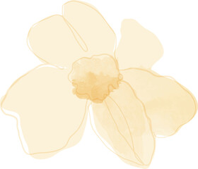 Watercolor spring flower