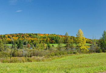 Autumn landscape