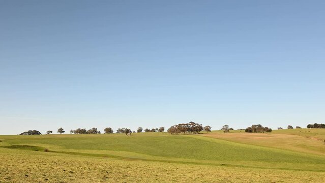 Loading a truck with hay and silage on a farm. Hay roll bales in a paddock being loaded in a farm