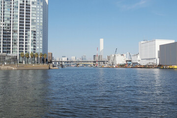 Obraz premium 東京の都市景観