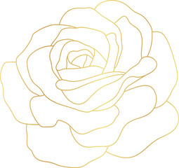 Rose flower gold line art