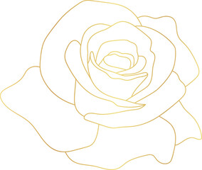 Rose flower gold line art