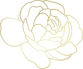 Wedding flower gold line art